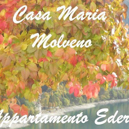 Casa Maria Apartamento Molveno Quarto foto