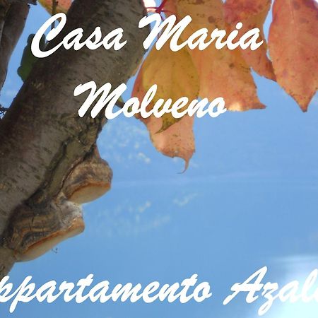 Casa Maria Apartamento Molveno Quarto foto