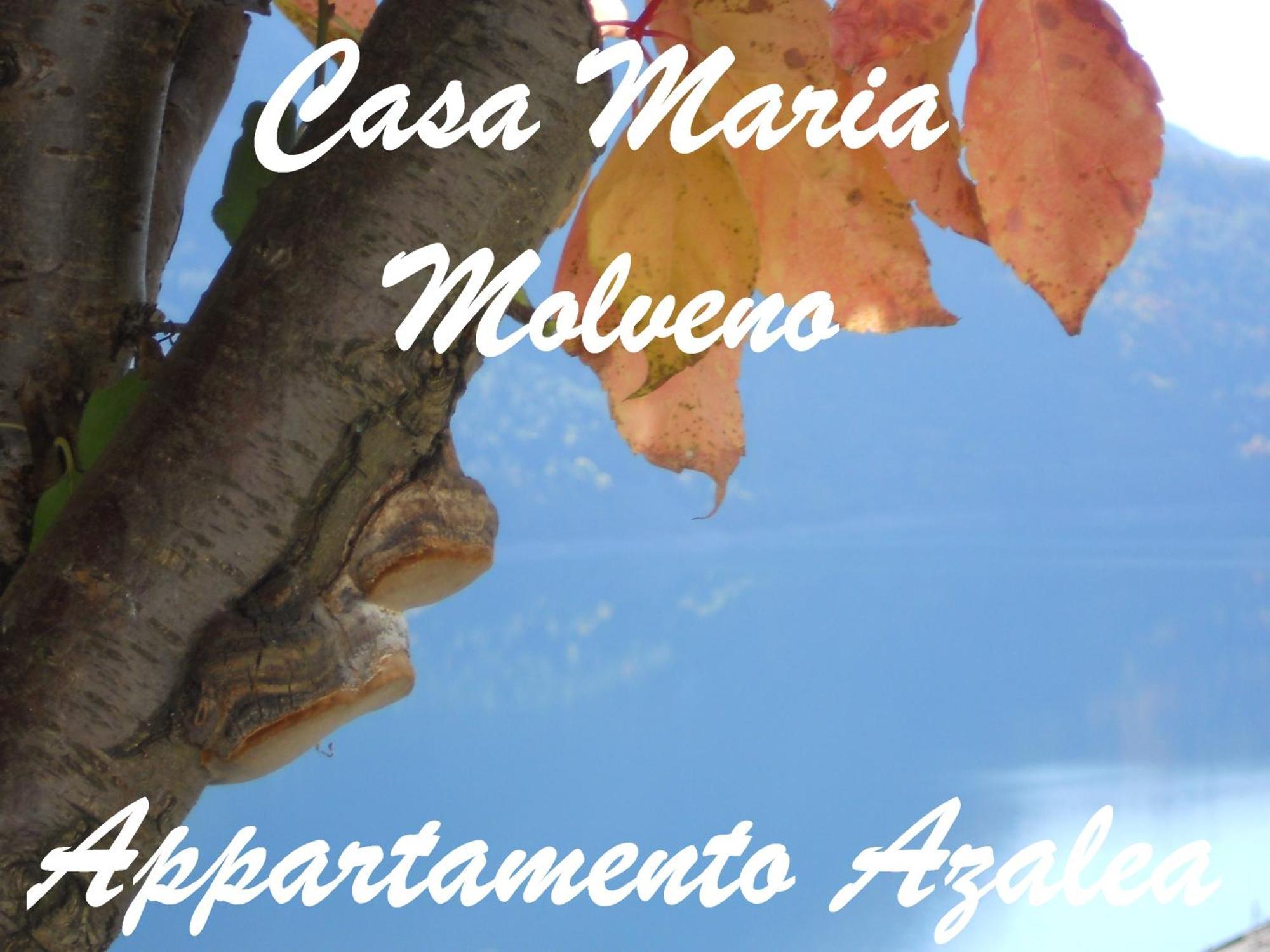 Casa Maria Apartamento Molveno Quarto foto